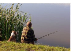 Horseshoe Lake State Park (Madison County)