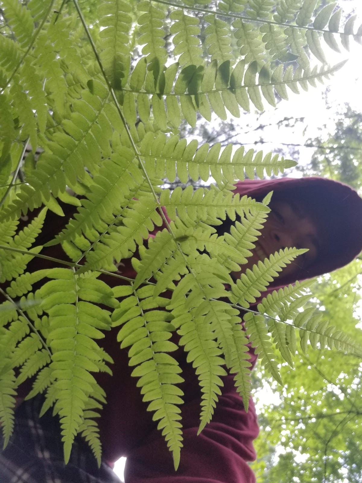 Happi Days Campground and Diner