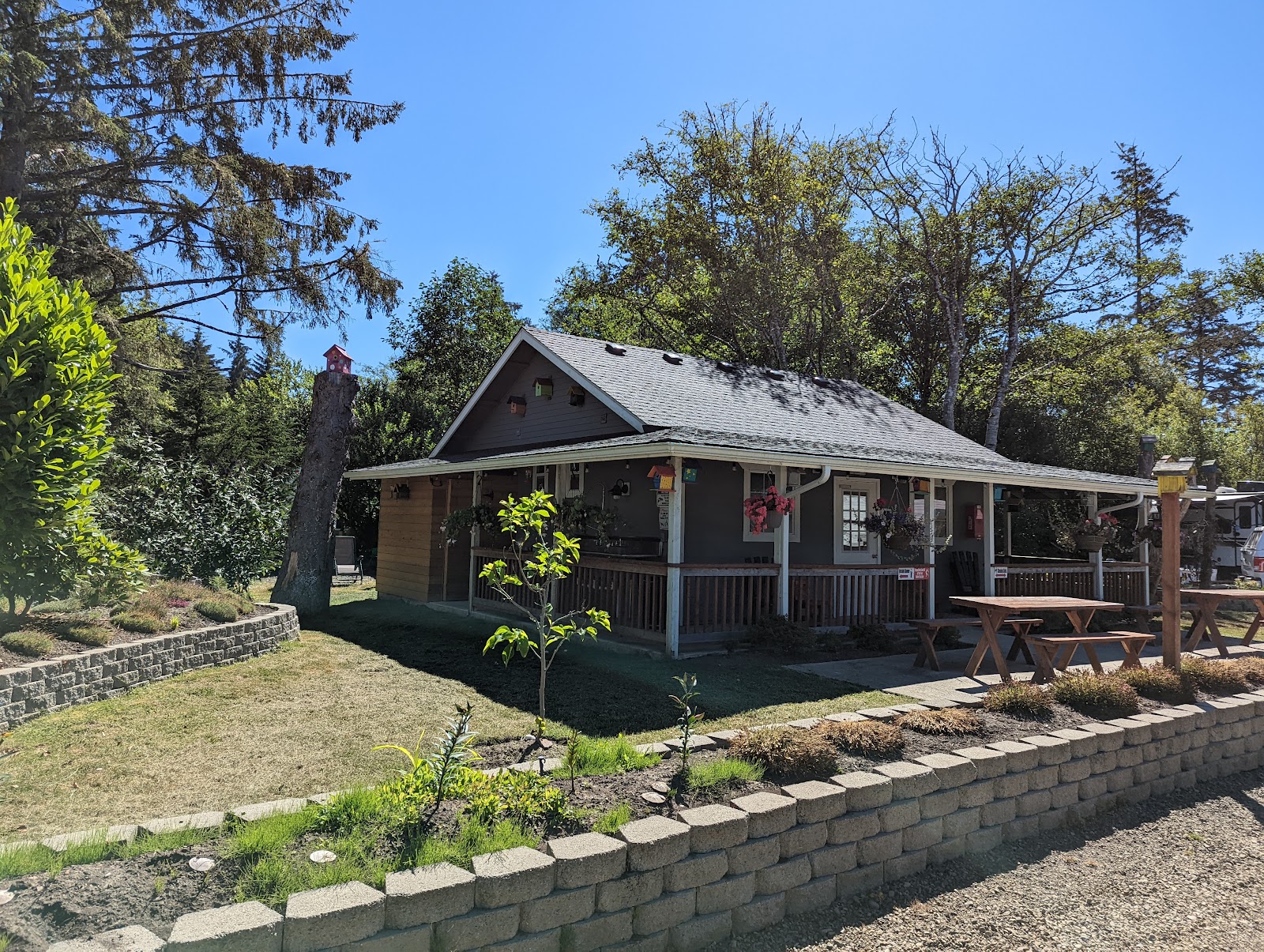 Driftwood Acres Ocean Campground