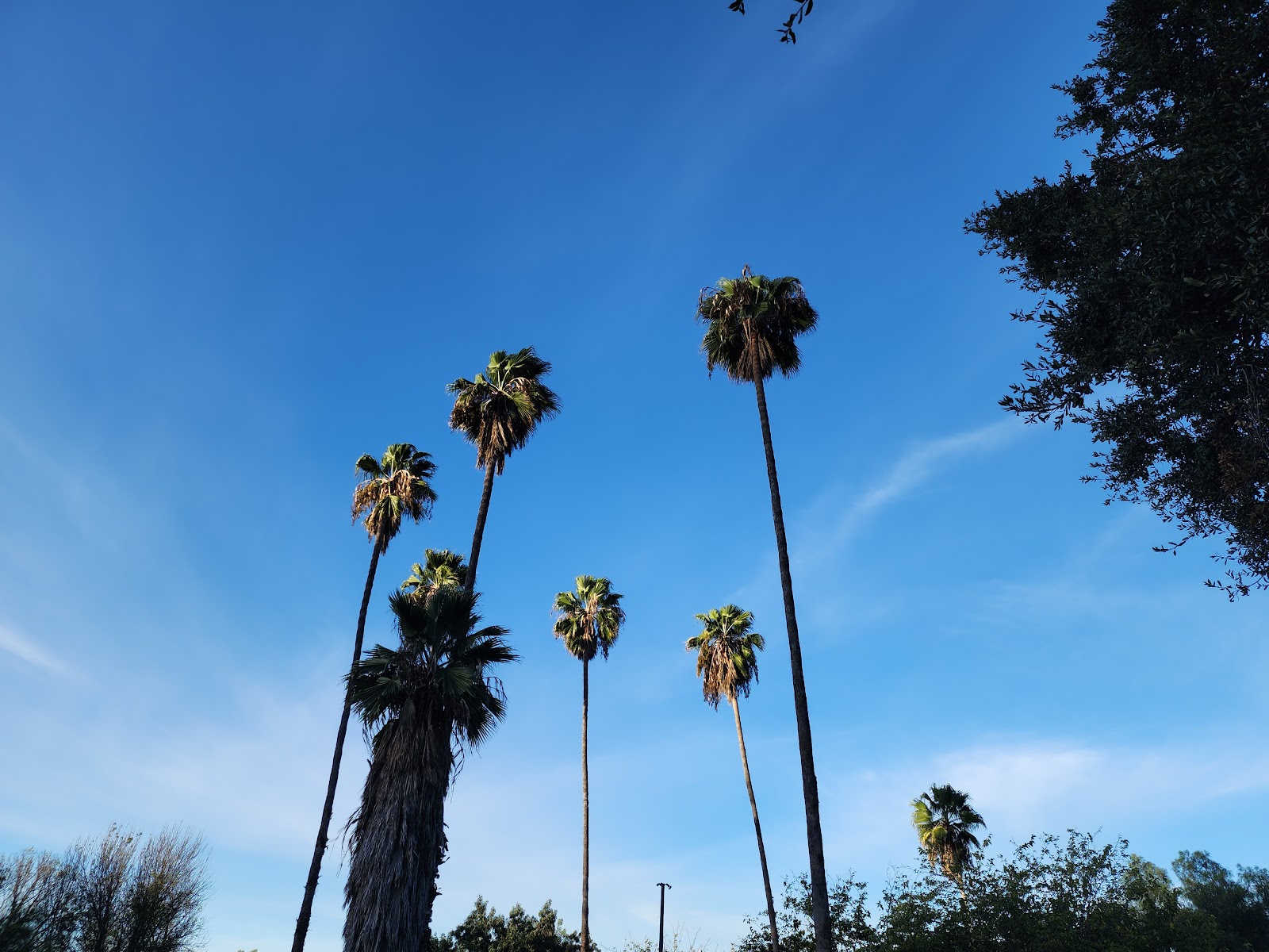 GNP--DIAMOND JACK'S RV PARK