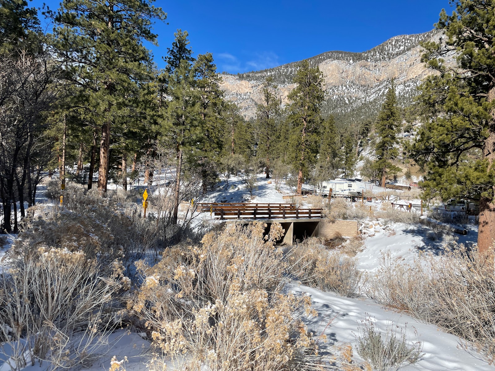 Kyle Canyon Picnic Area