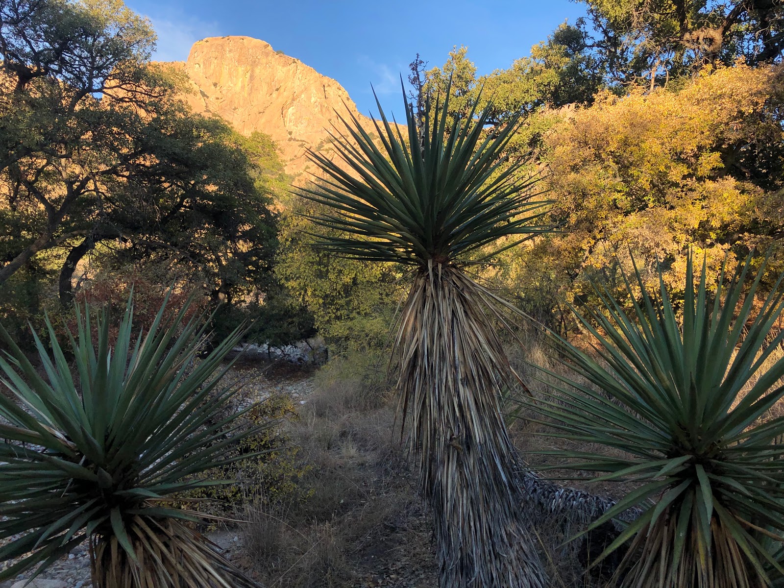 Cochise Stronghold Campground