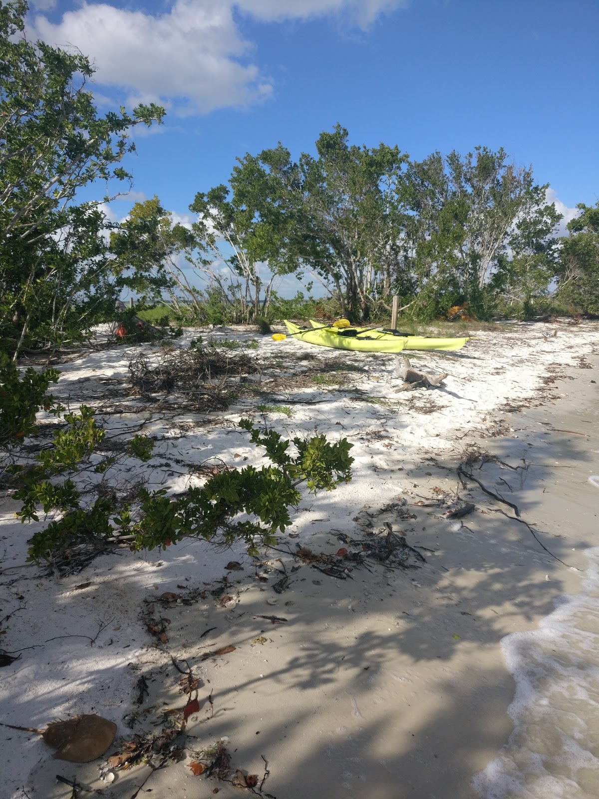 Backcountry Pavillion Key - Everglades National Park