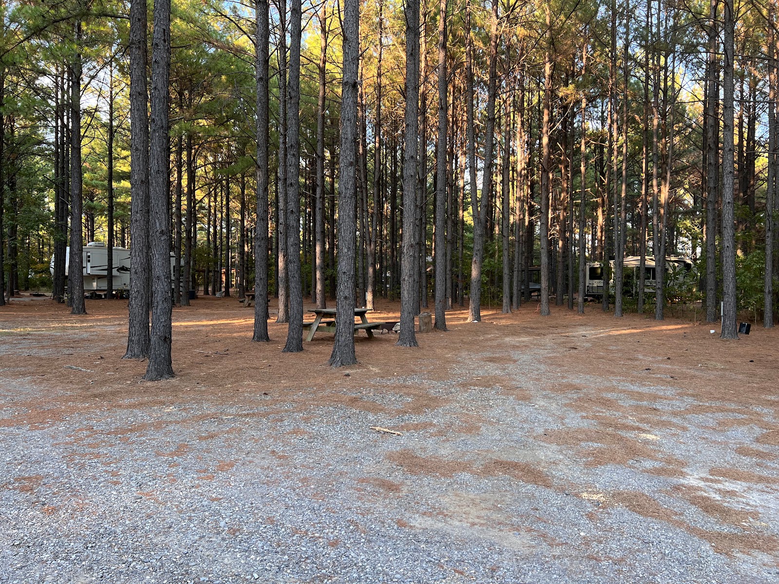Little Pine Cabins and RV Park