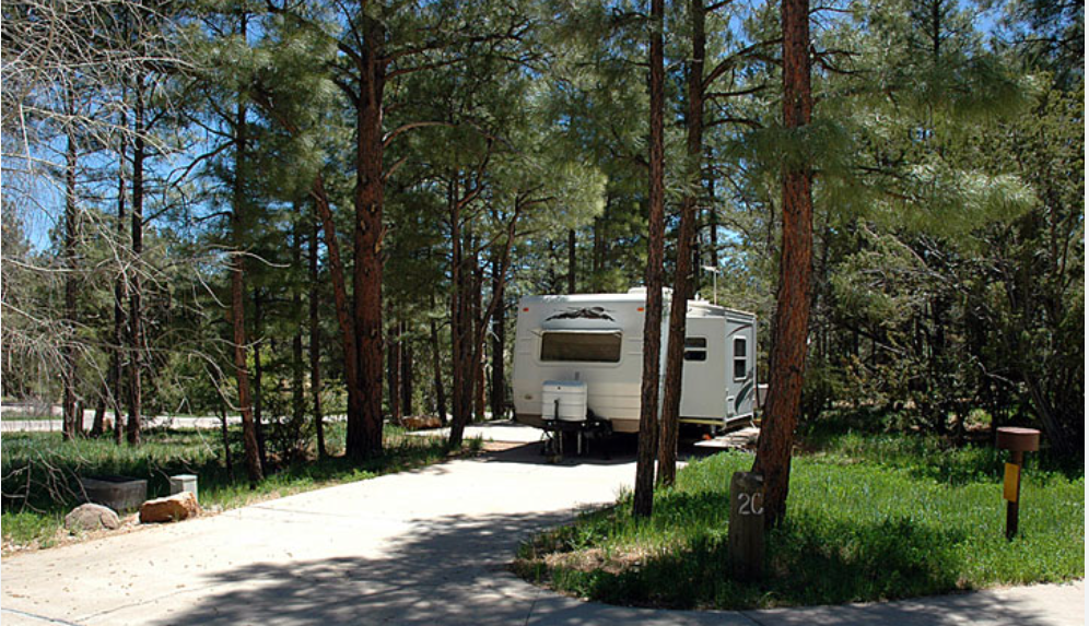 Fool Hollow Lake Recreation Area