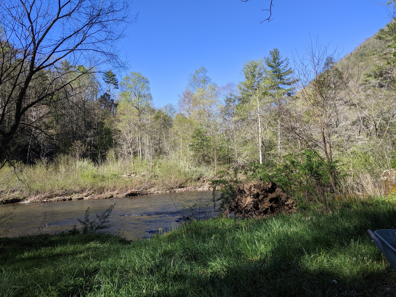Monongahela National Forest Blue Bend Campground
