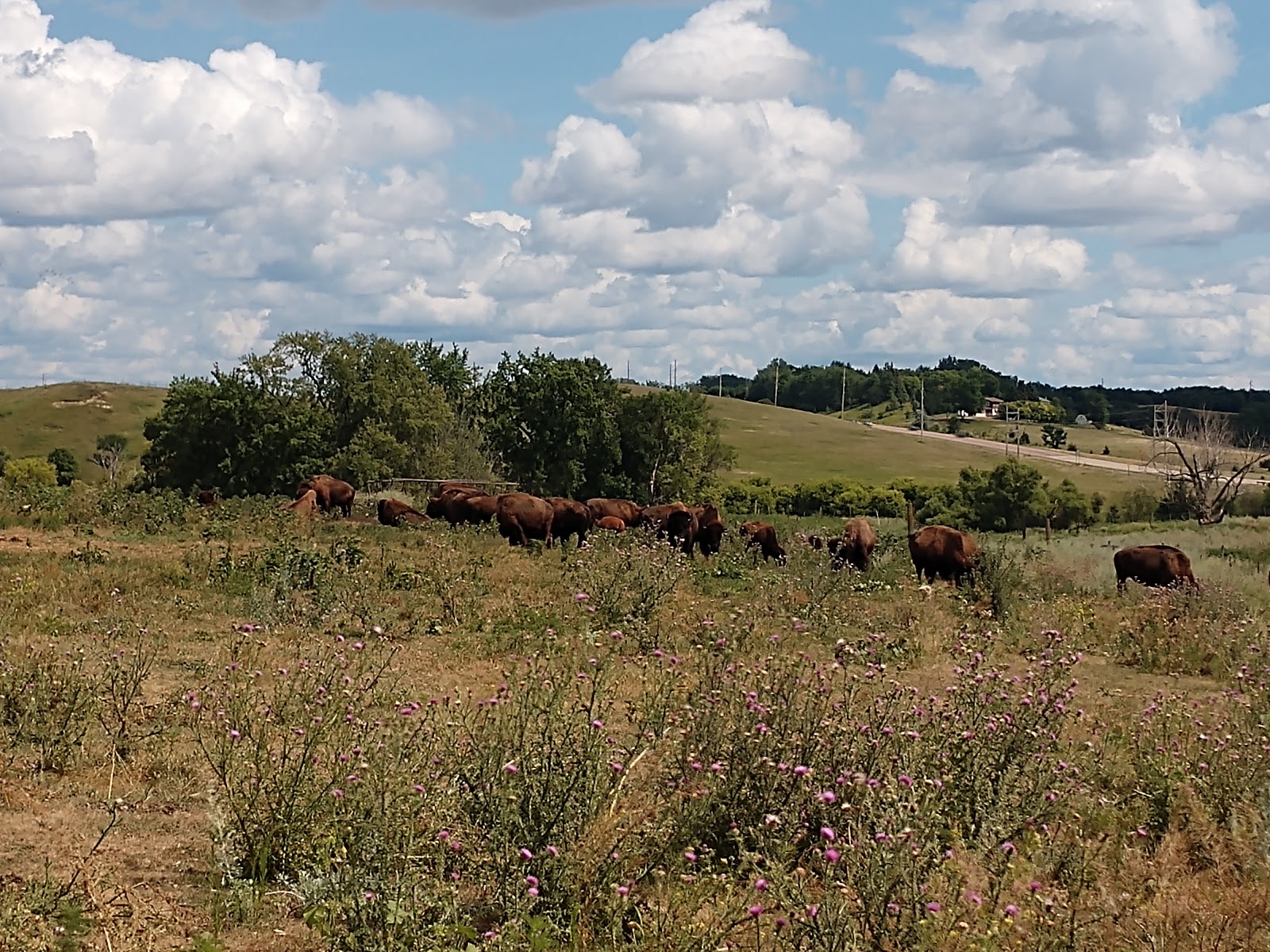 Buffalo Ridge Ghost Town