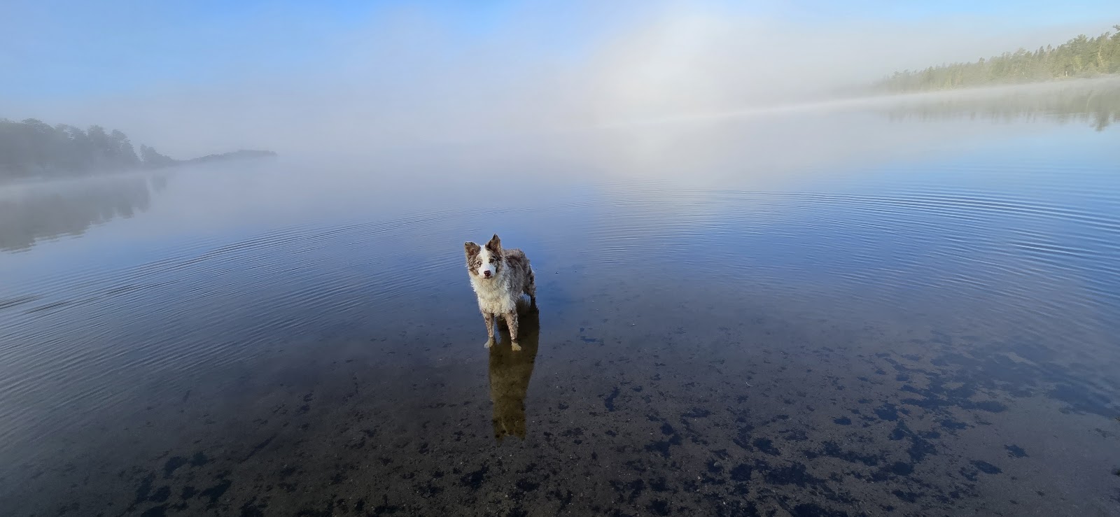 Beaufort Lake Campground
