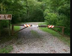 Mcnabb Creek Group Camping