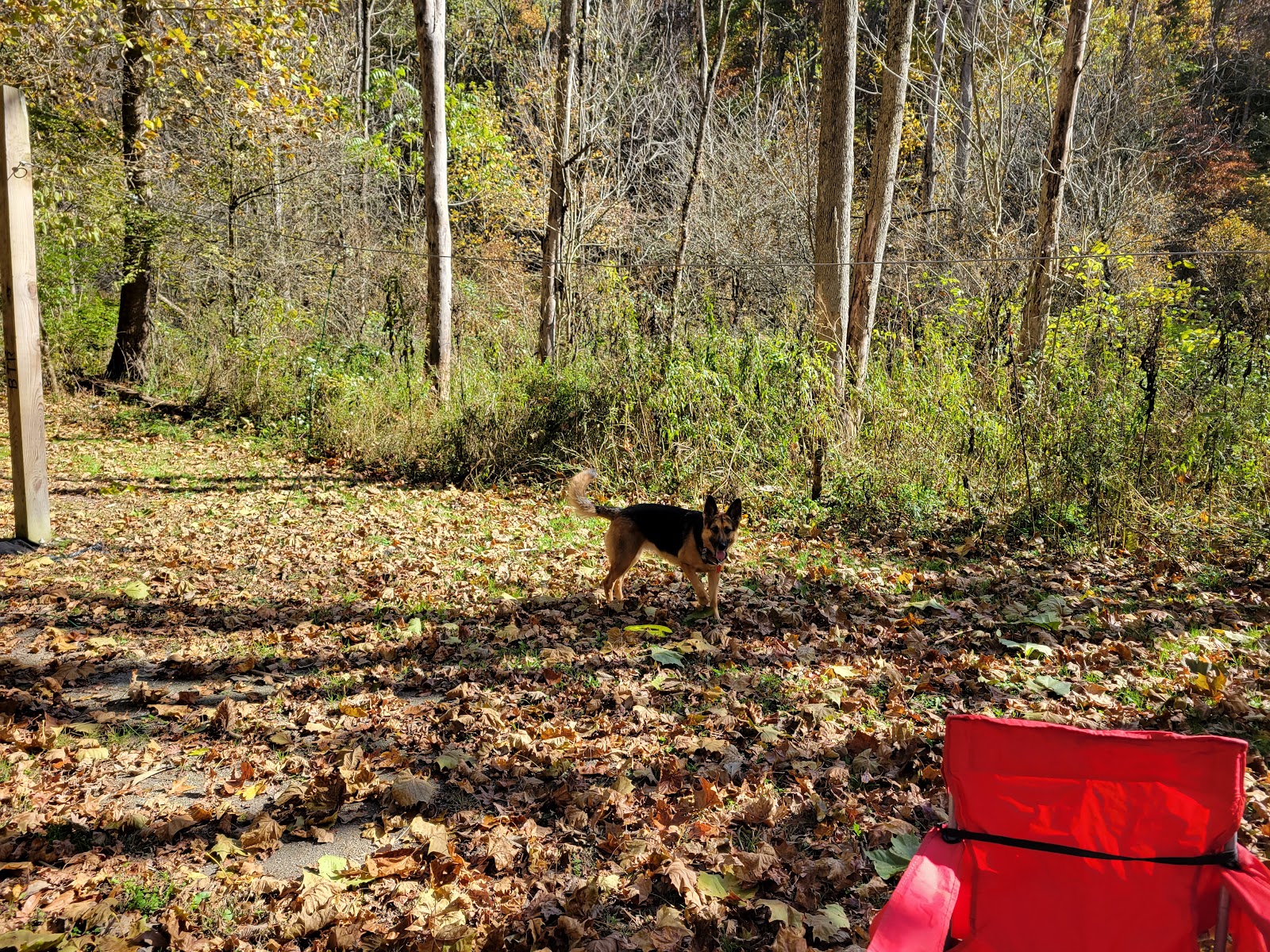Trailriders Campground - Harrison Sate Forest