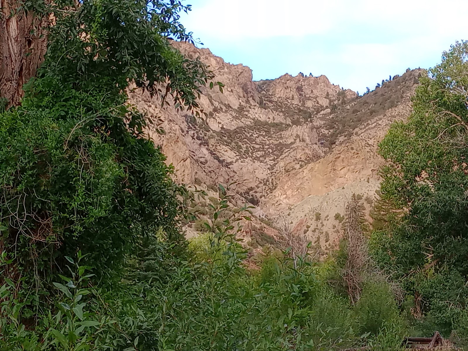 Cottonwoods River Camp