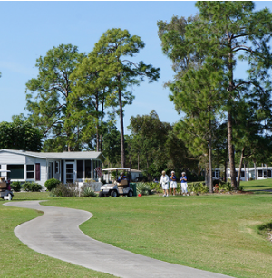 Pink Citrus Trailer Park