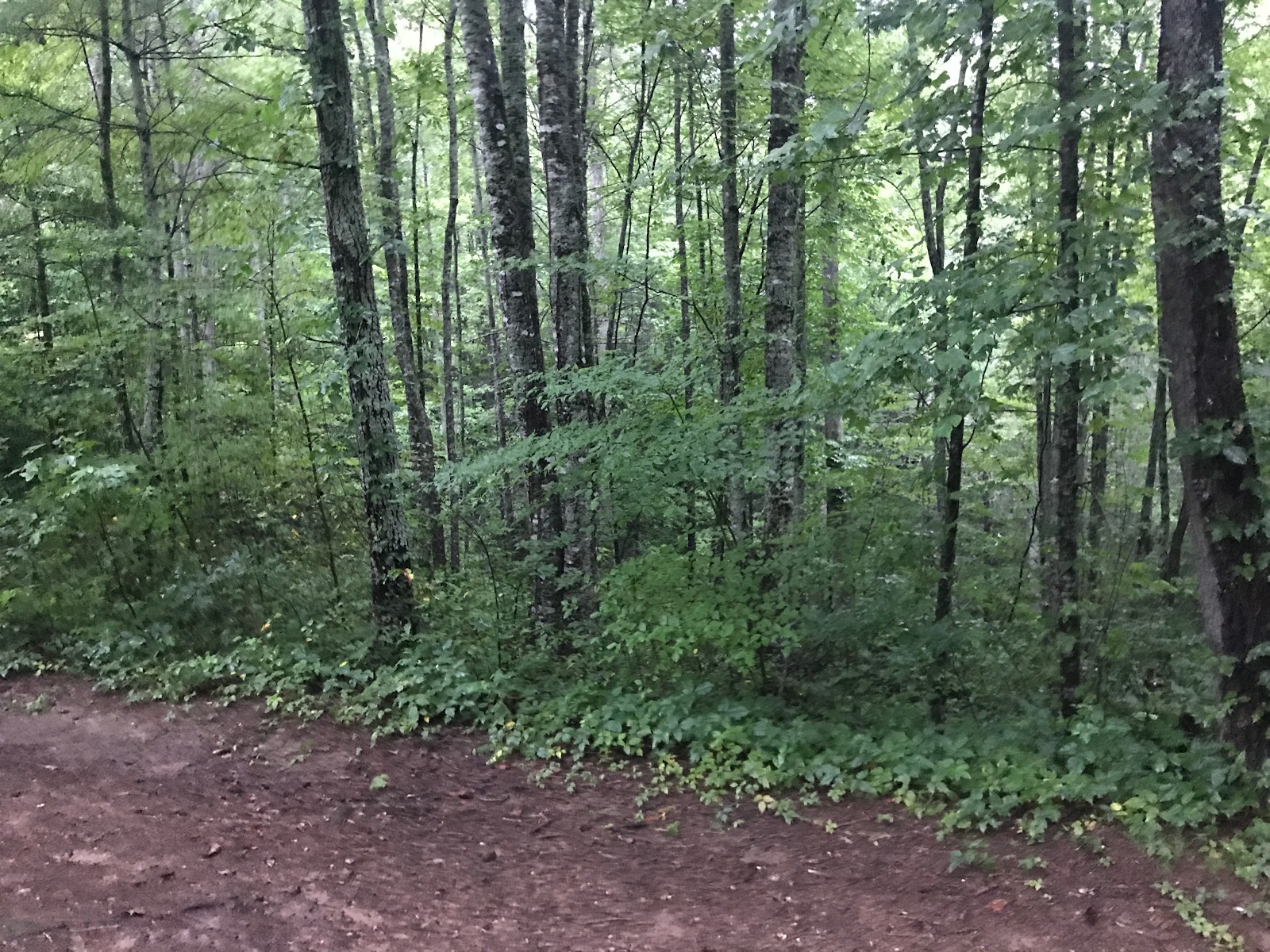 Horse Cove Campground