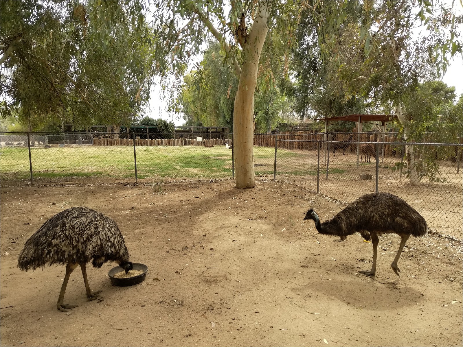 Wildlife World Zoo, Aquarium & Safari Park