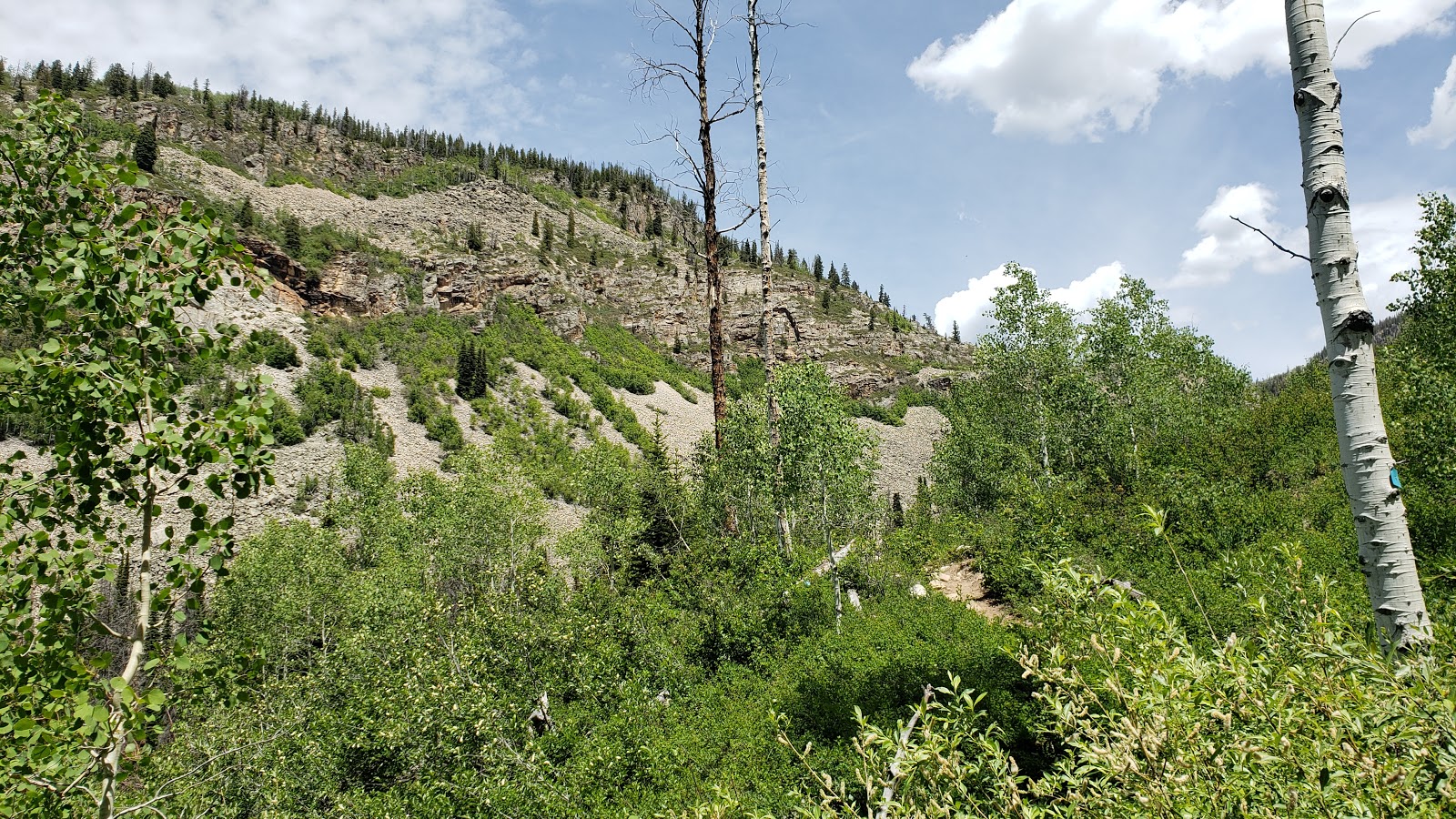 Taylors Fork ATV Campground