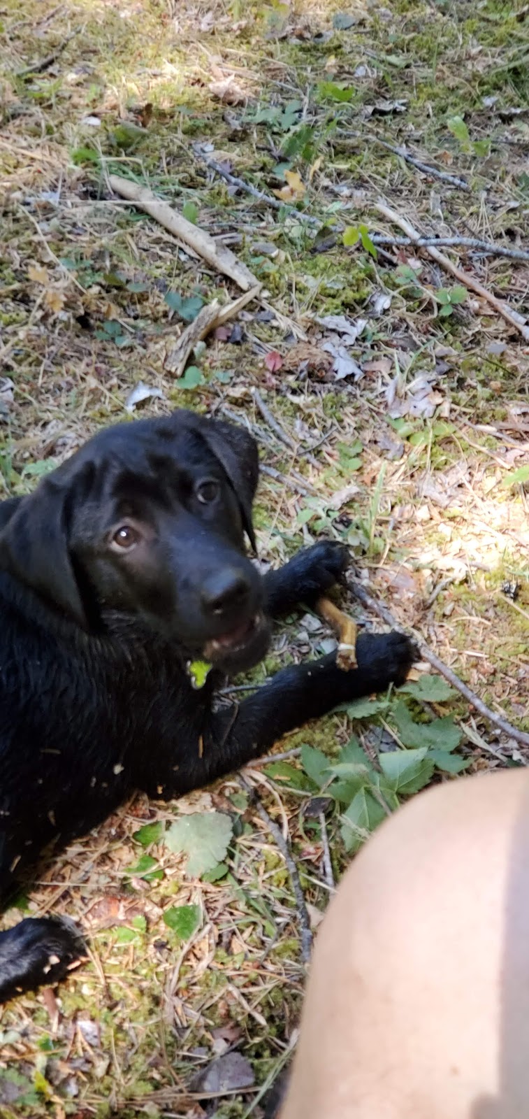 Fourbit Ford Campground