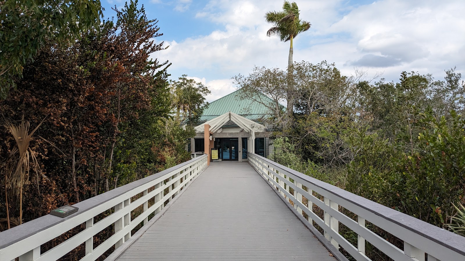 Backcountry Ernest Coe - Everglades National Park