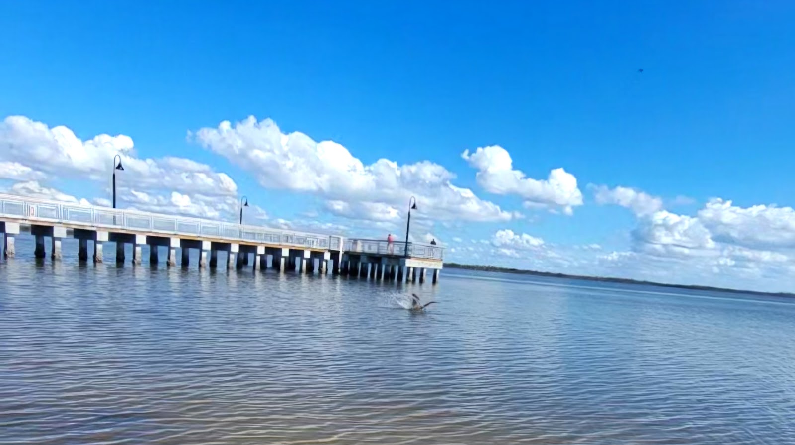 Little Pines Trailer Park