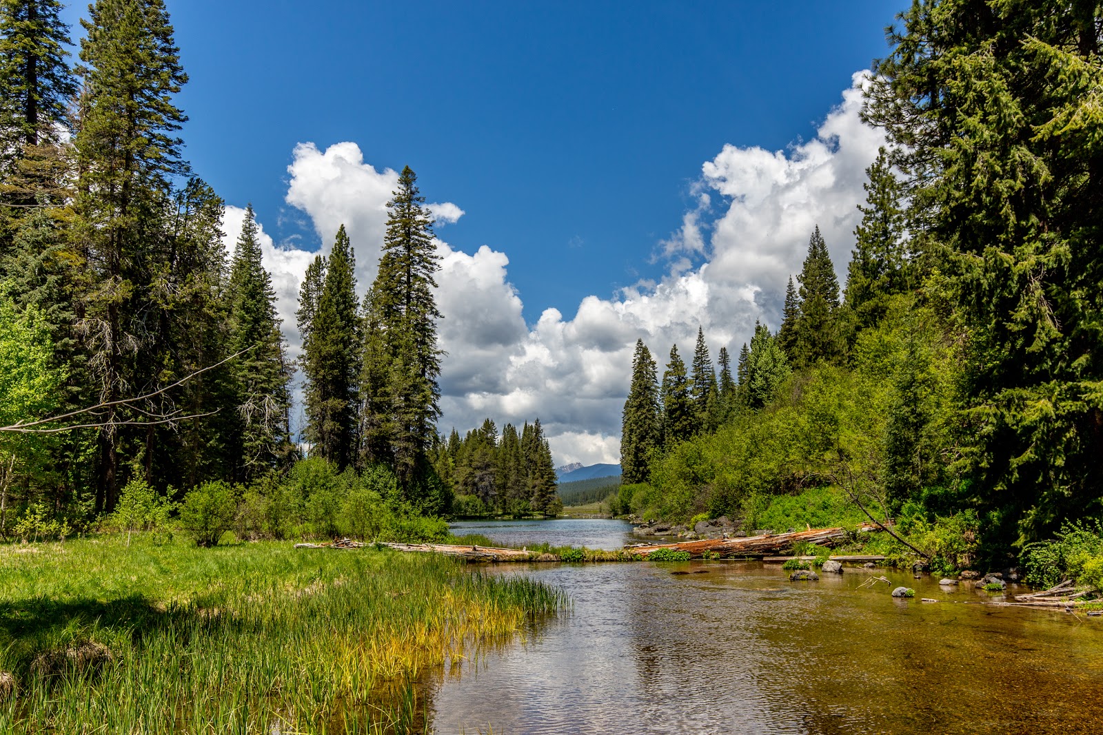 J. F. Kimball State Recreation Site