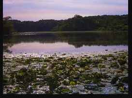 Morrison-Rockwood State Park