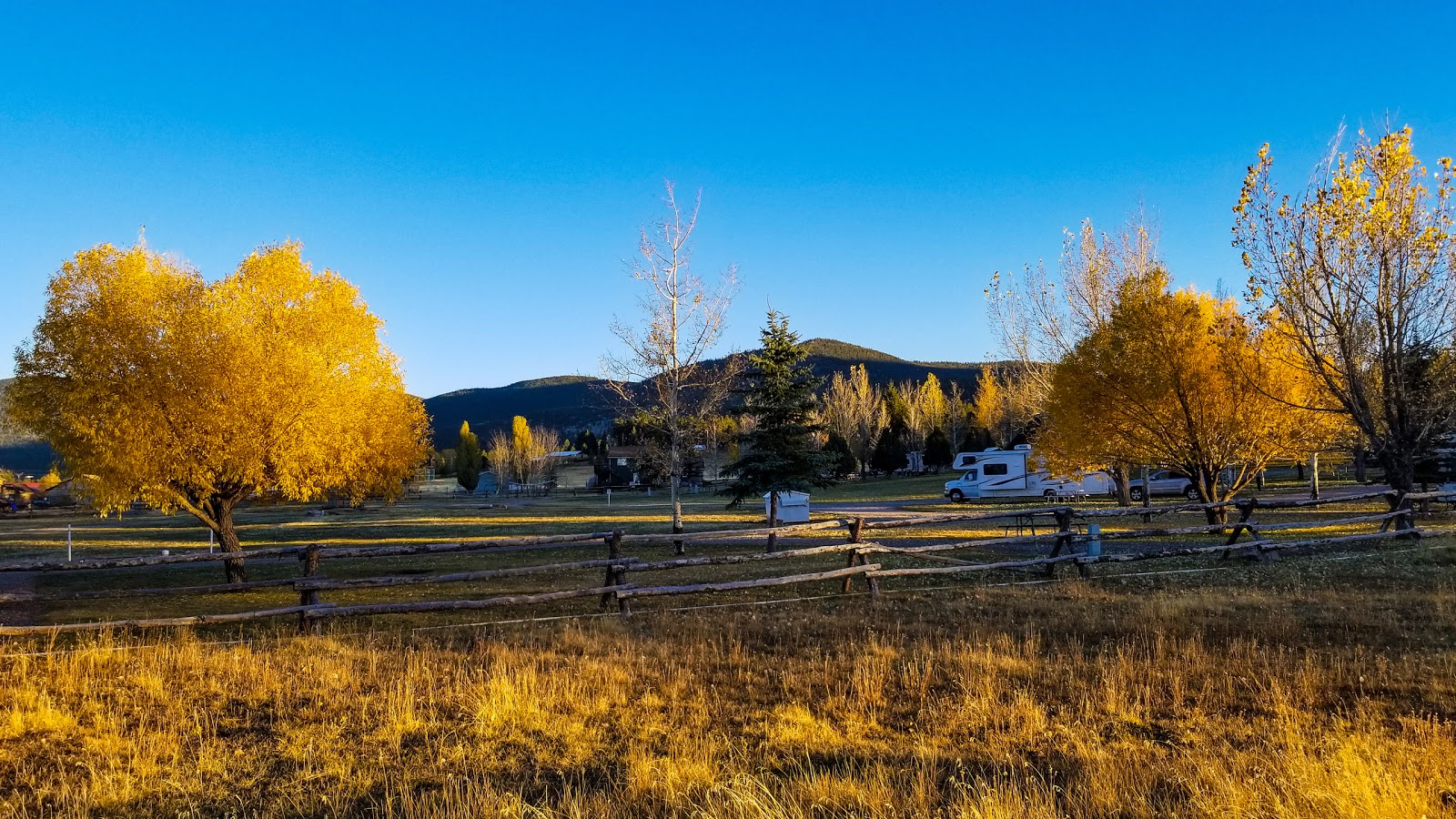 Camperworld-Pine Forest Park