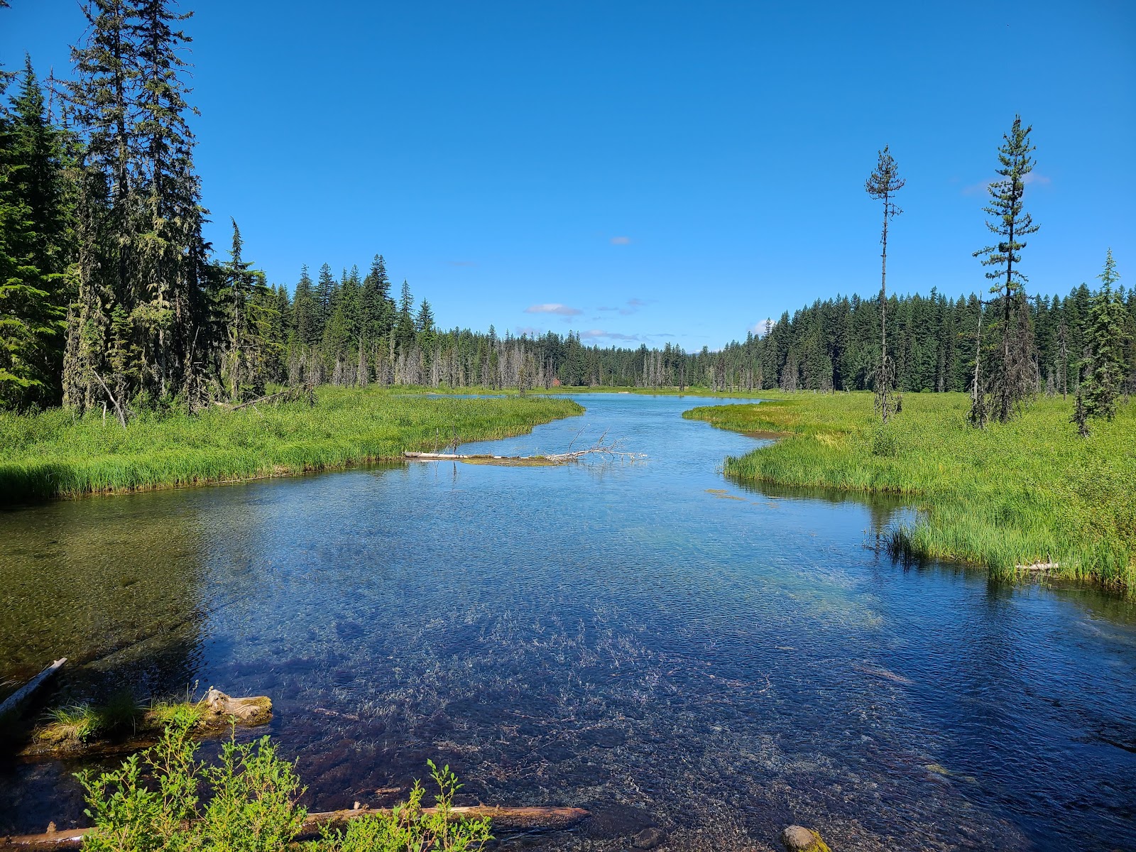 Clackamas Lake Campground
