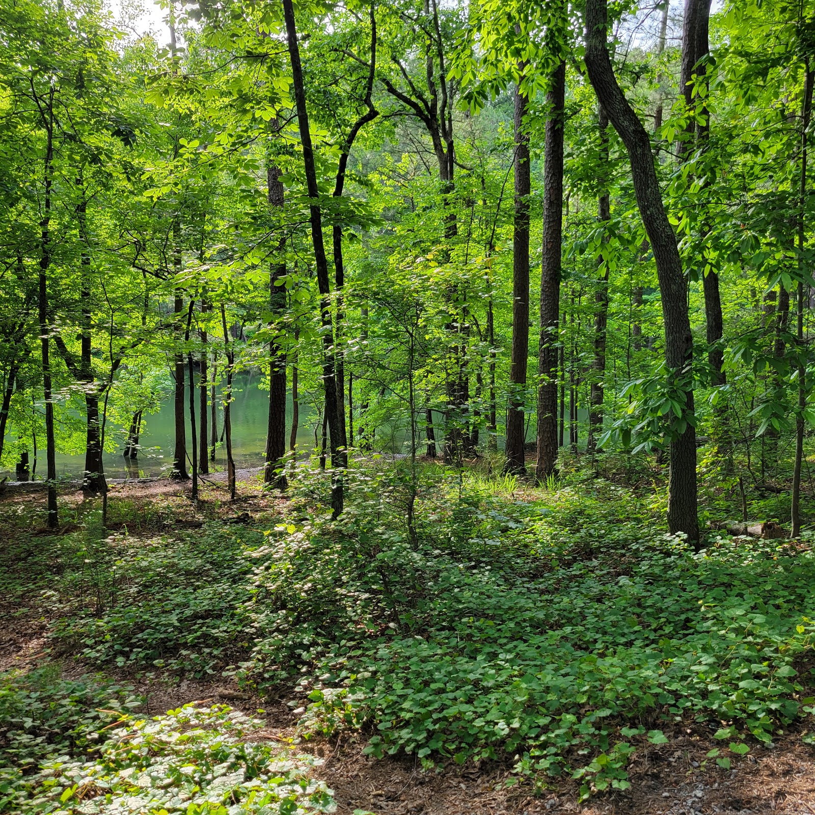 Red Top Mountain State Park