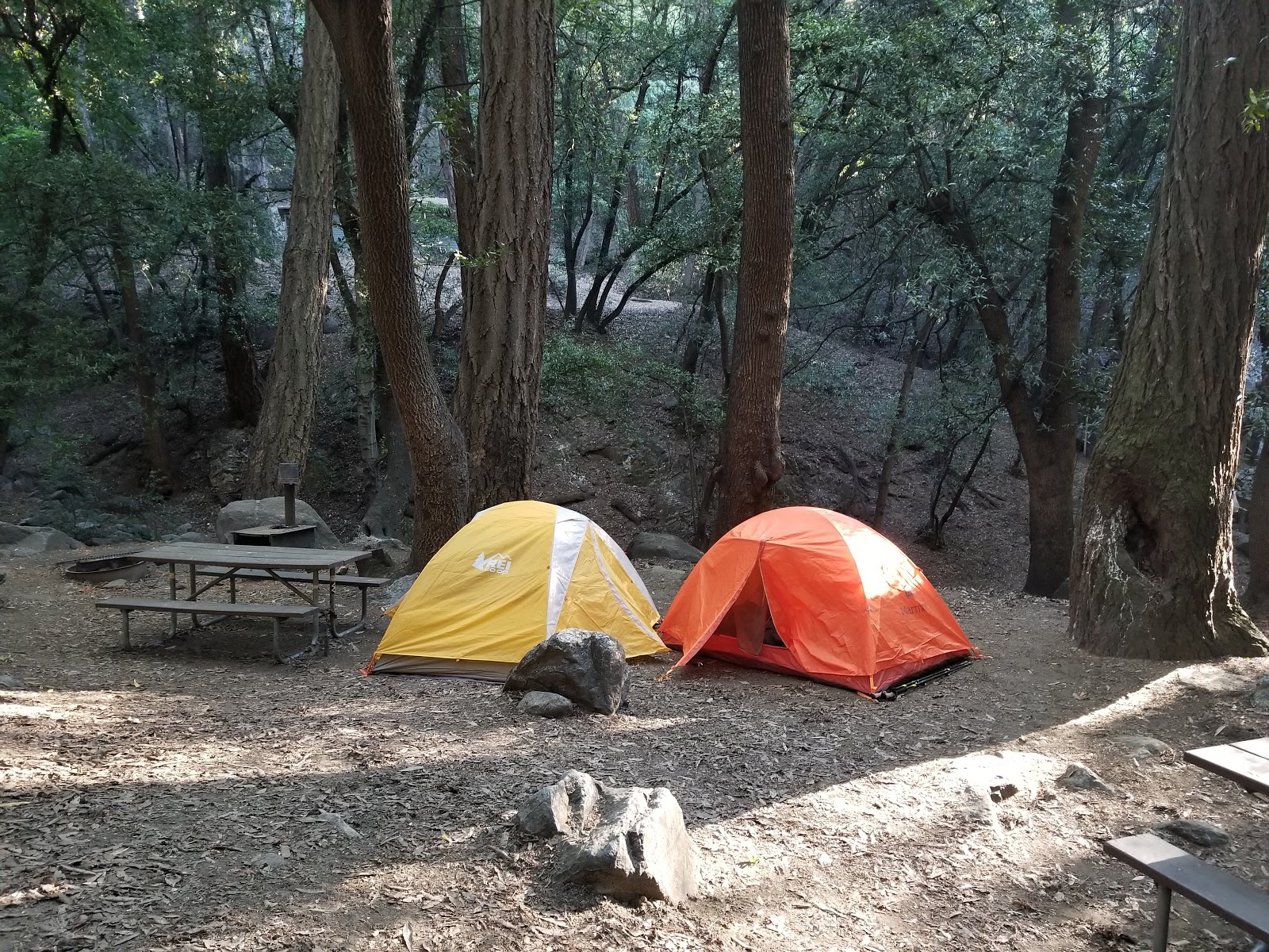 Spruce Grove Trail Camp