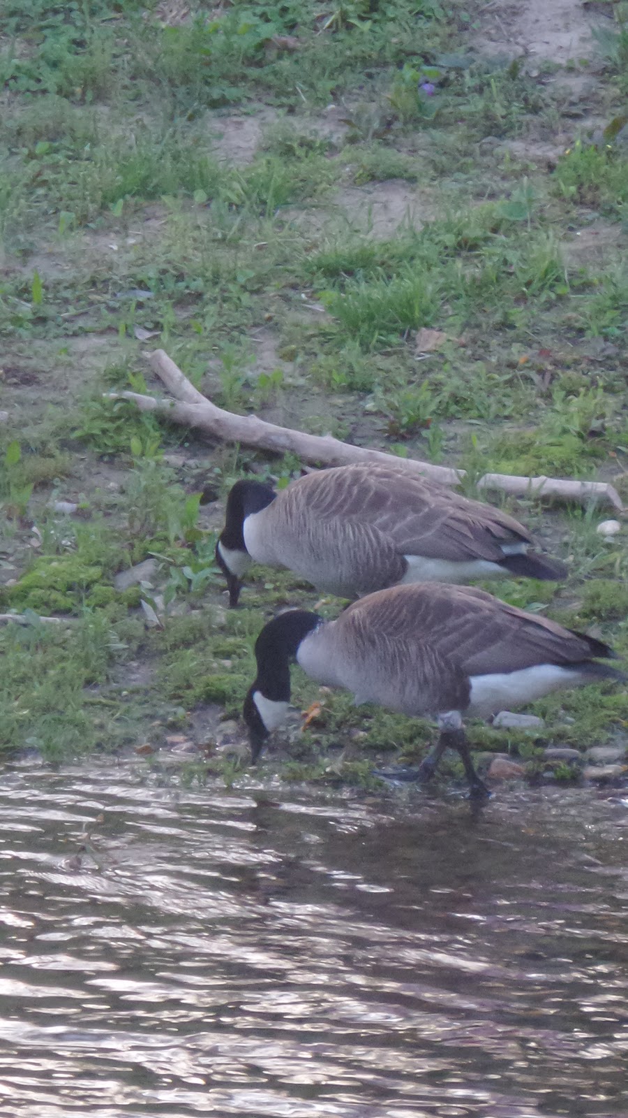 Riverbend RV Park-Campground