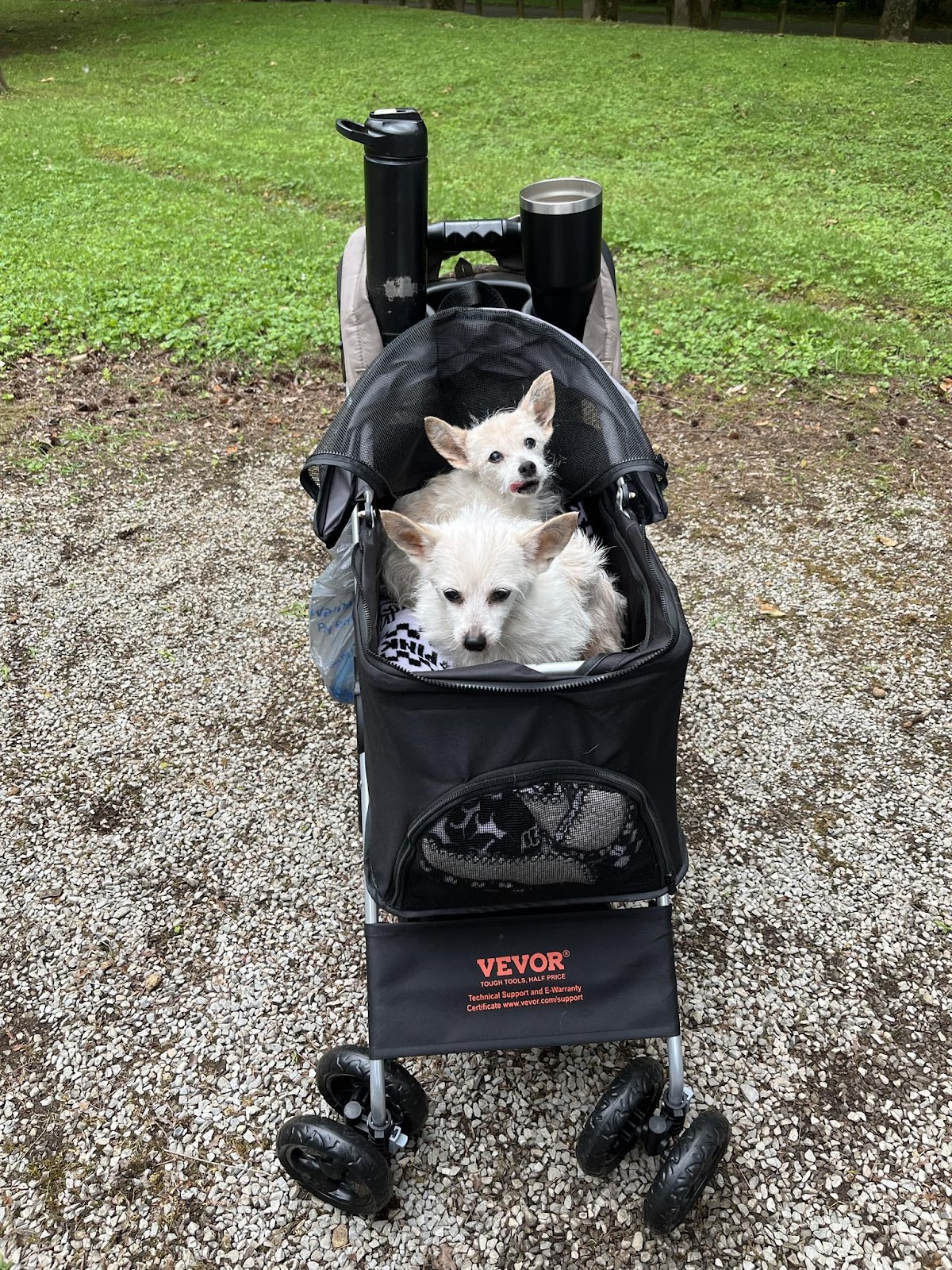 Grapevine Campground