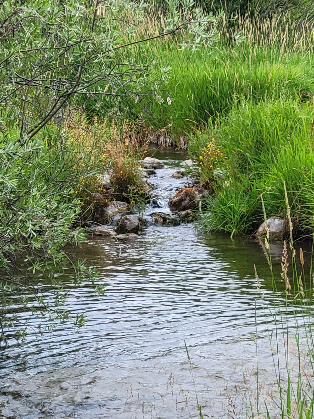 Flat Creek RV Park & Cabins