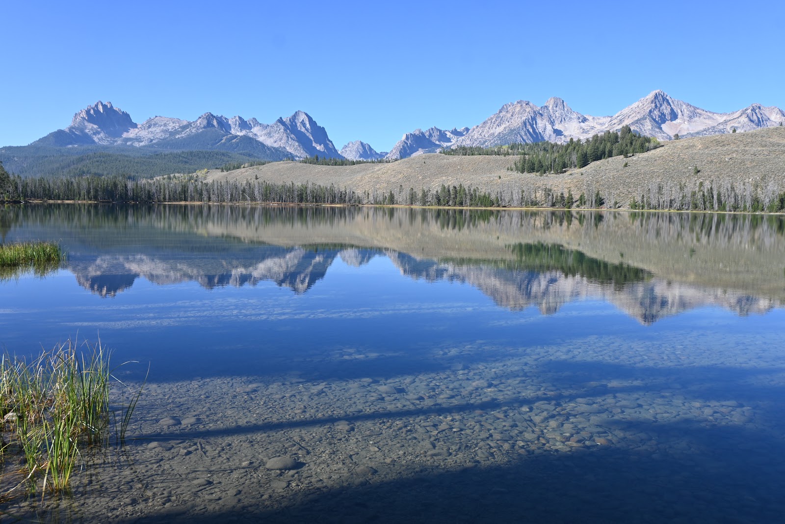 Mountain View Campground