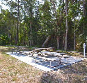 Cypress Bend RV Resort