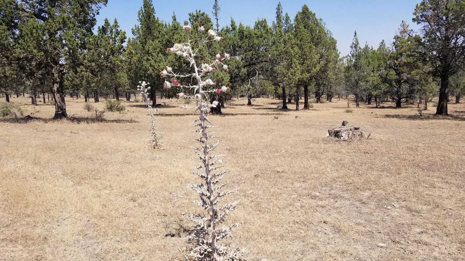 Reservoir C Campground