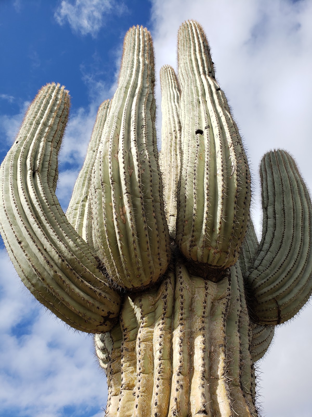 Venture Ironwood Park