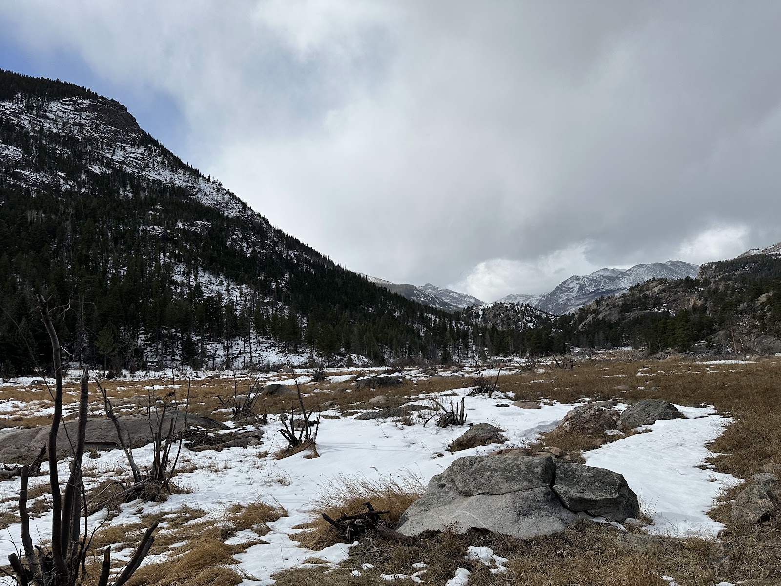 Moraine Park - Rocky Mountain National Park