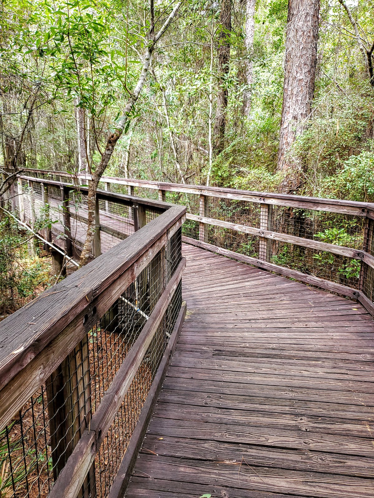 Blackwater River State Park