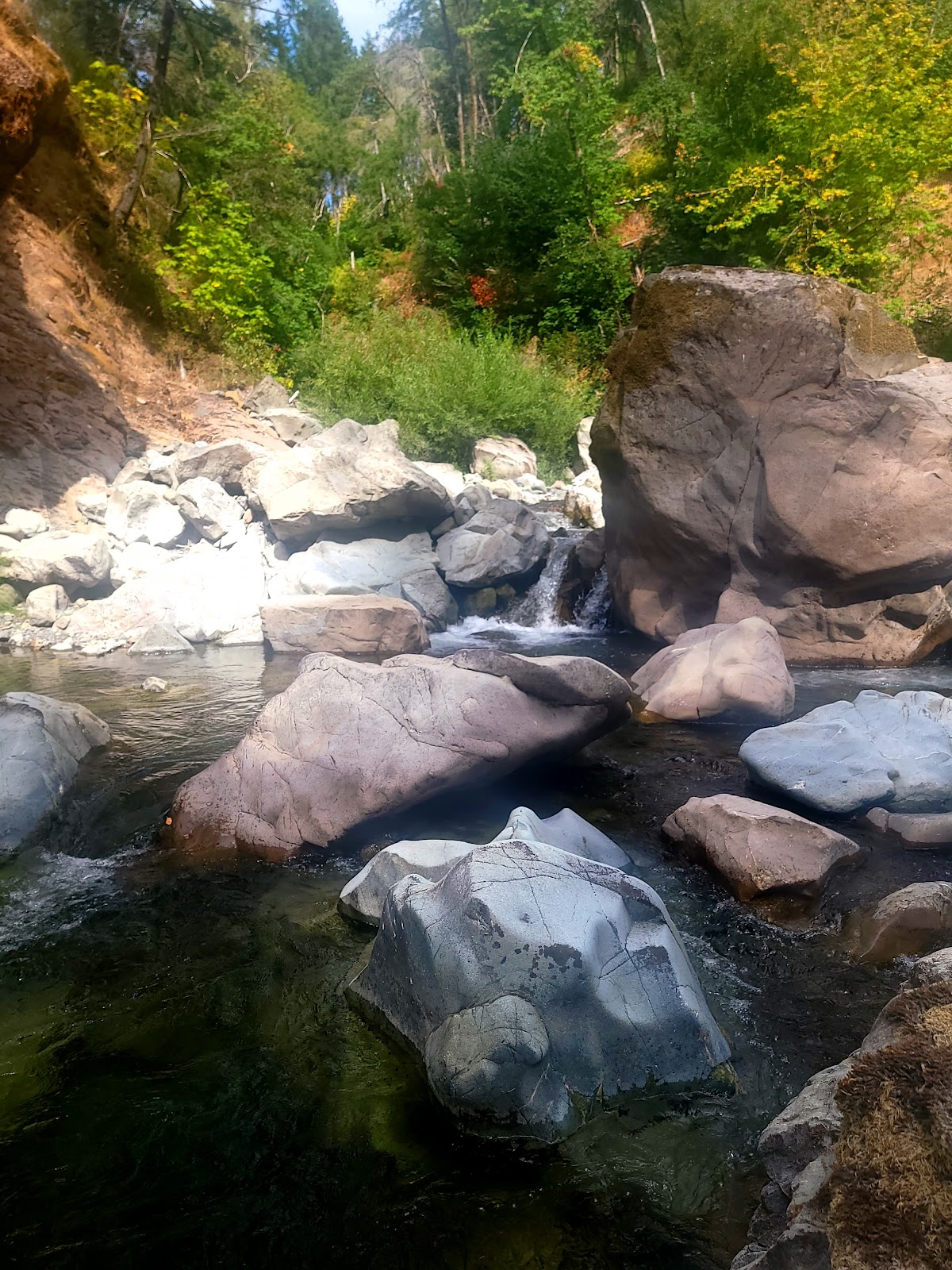 South Fork Chetco Campground