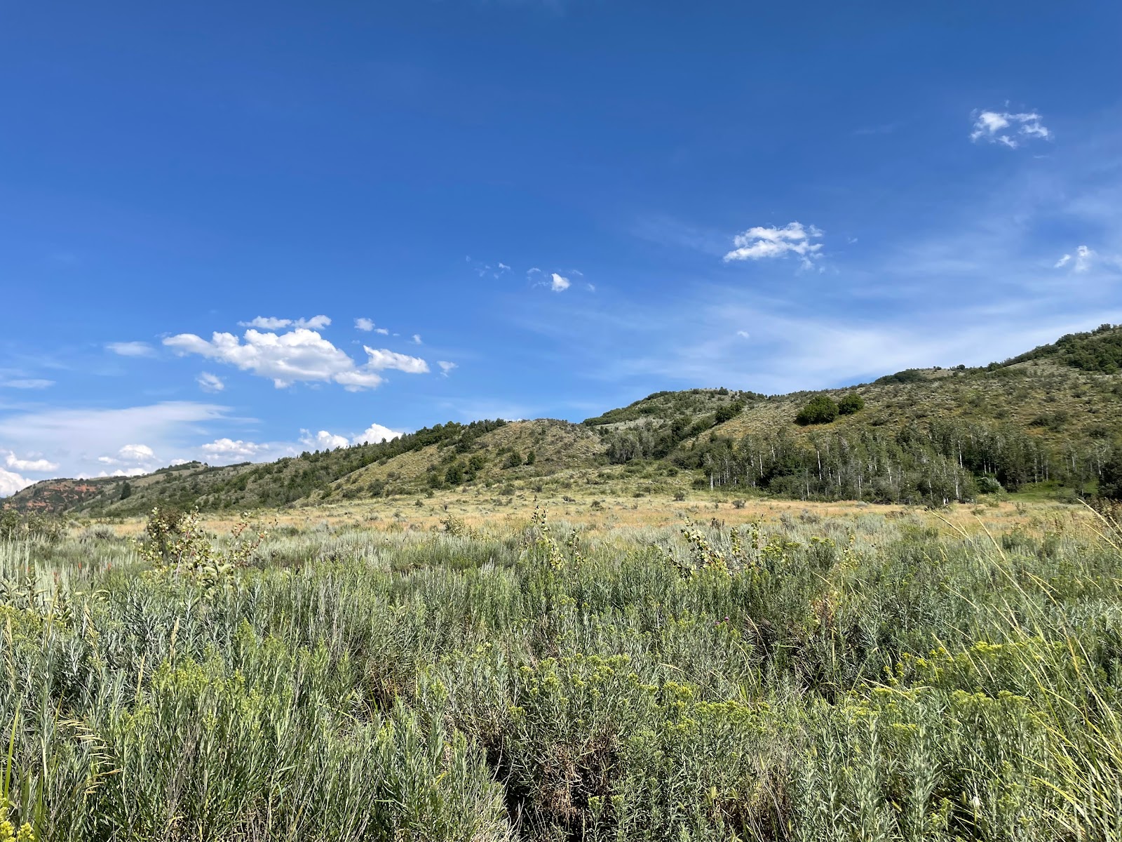 Upper Meadows Campground