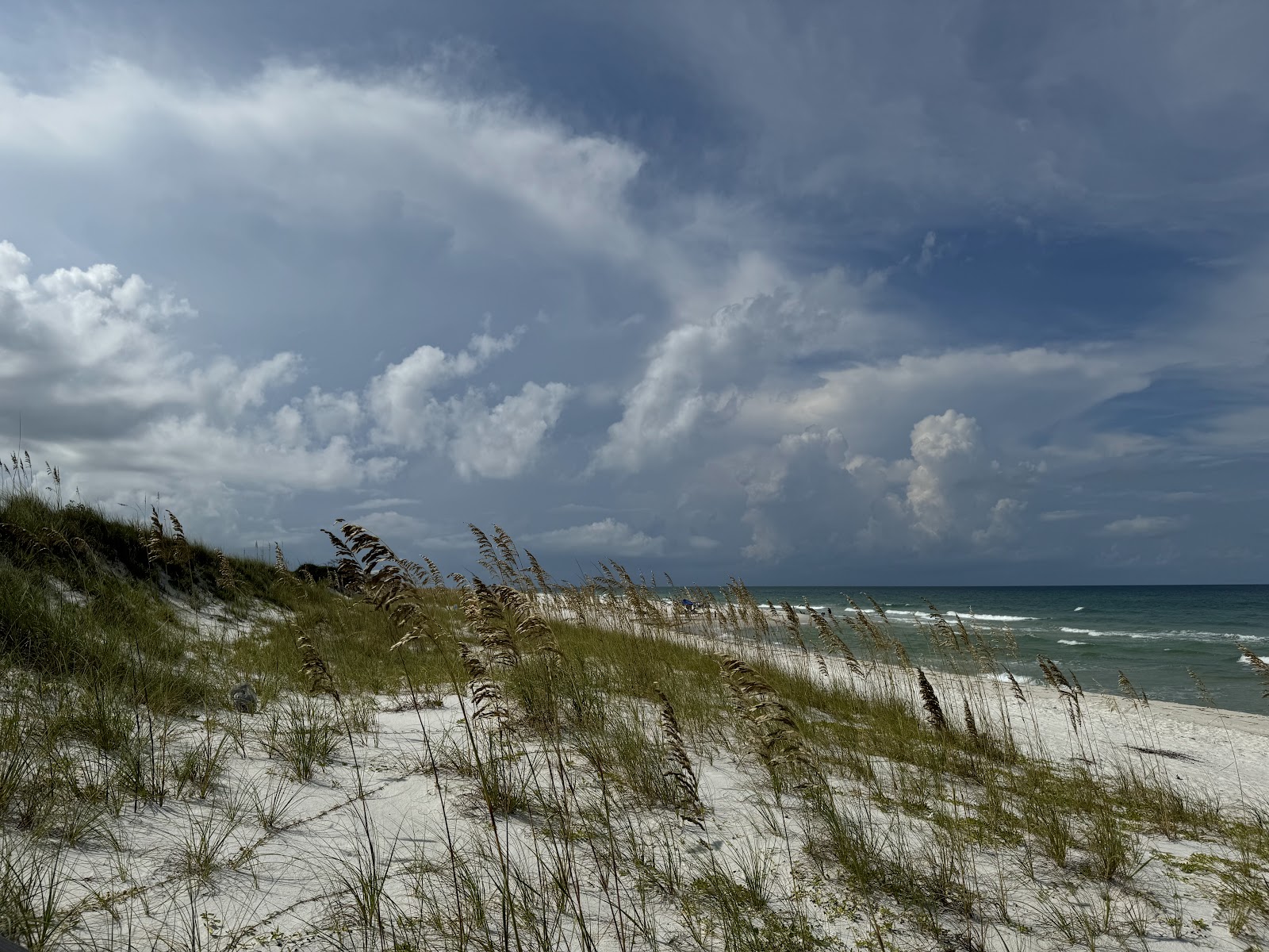 T.H. Stone Memorial ST. Joseph Peninsula State Park