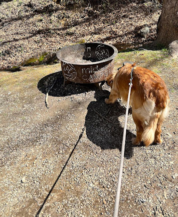 Middle Creek Campground