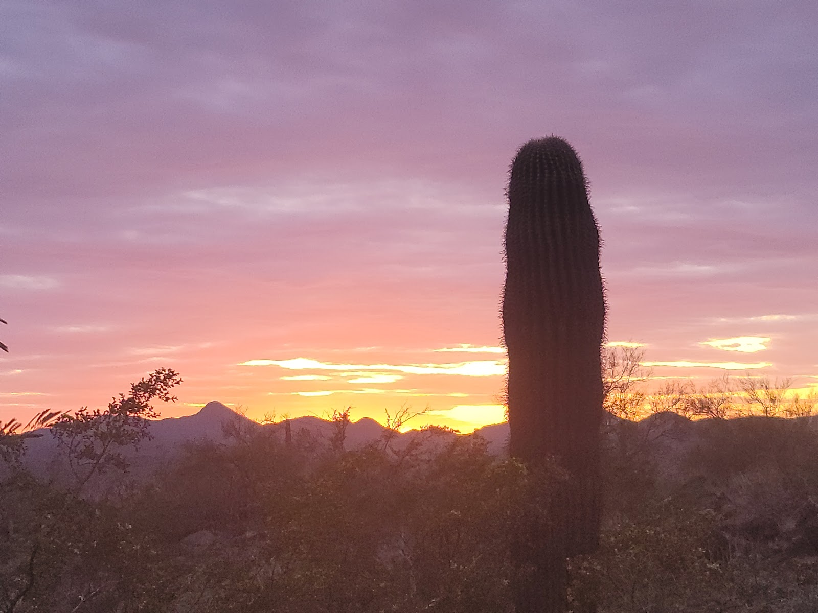 Roadrunner Lake Resort (55+ park)