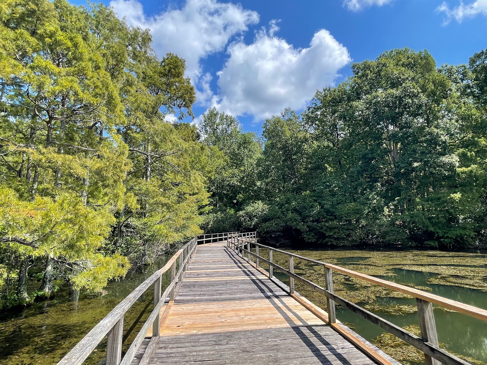 Back - Wall Doxey State Park