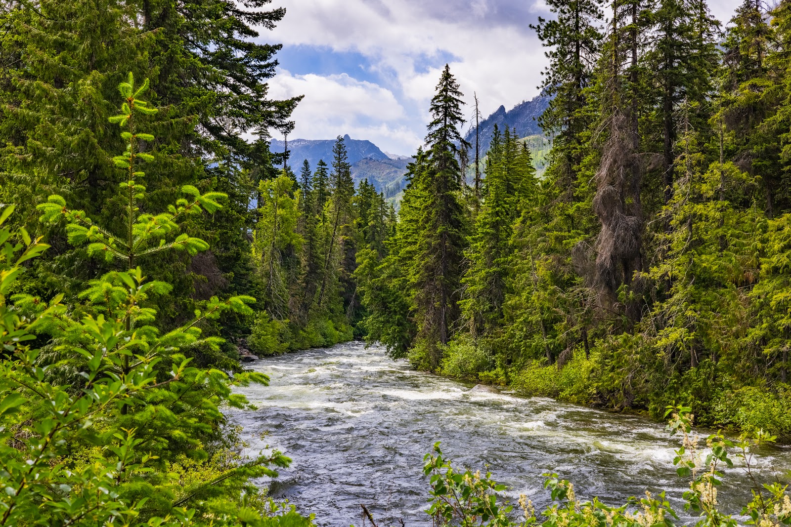 Johnny Creek Campground