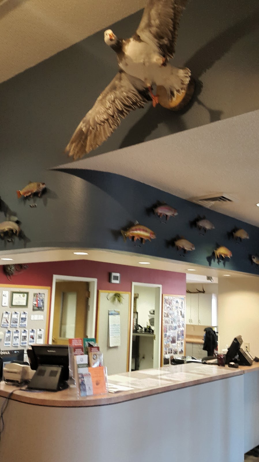 Mexican Creek Wildlife Mgt Area