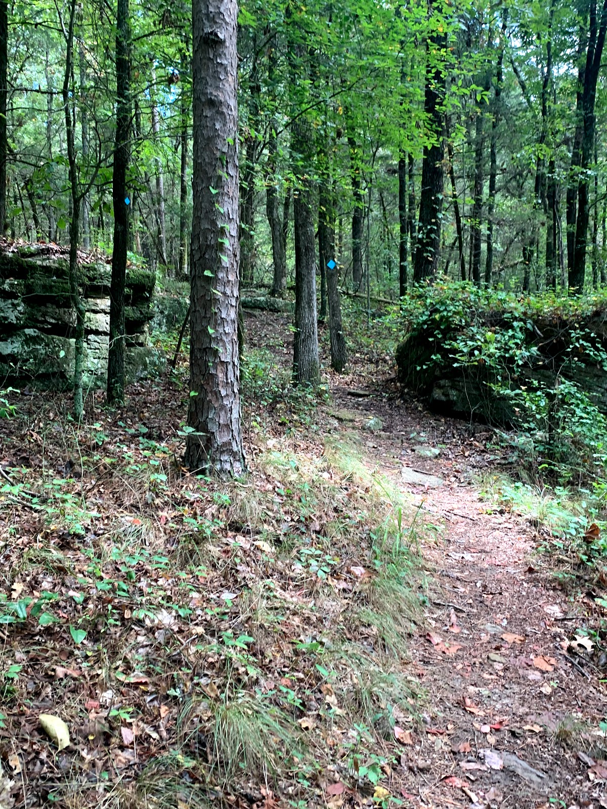 Big Creek Natural Area