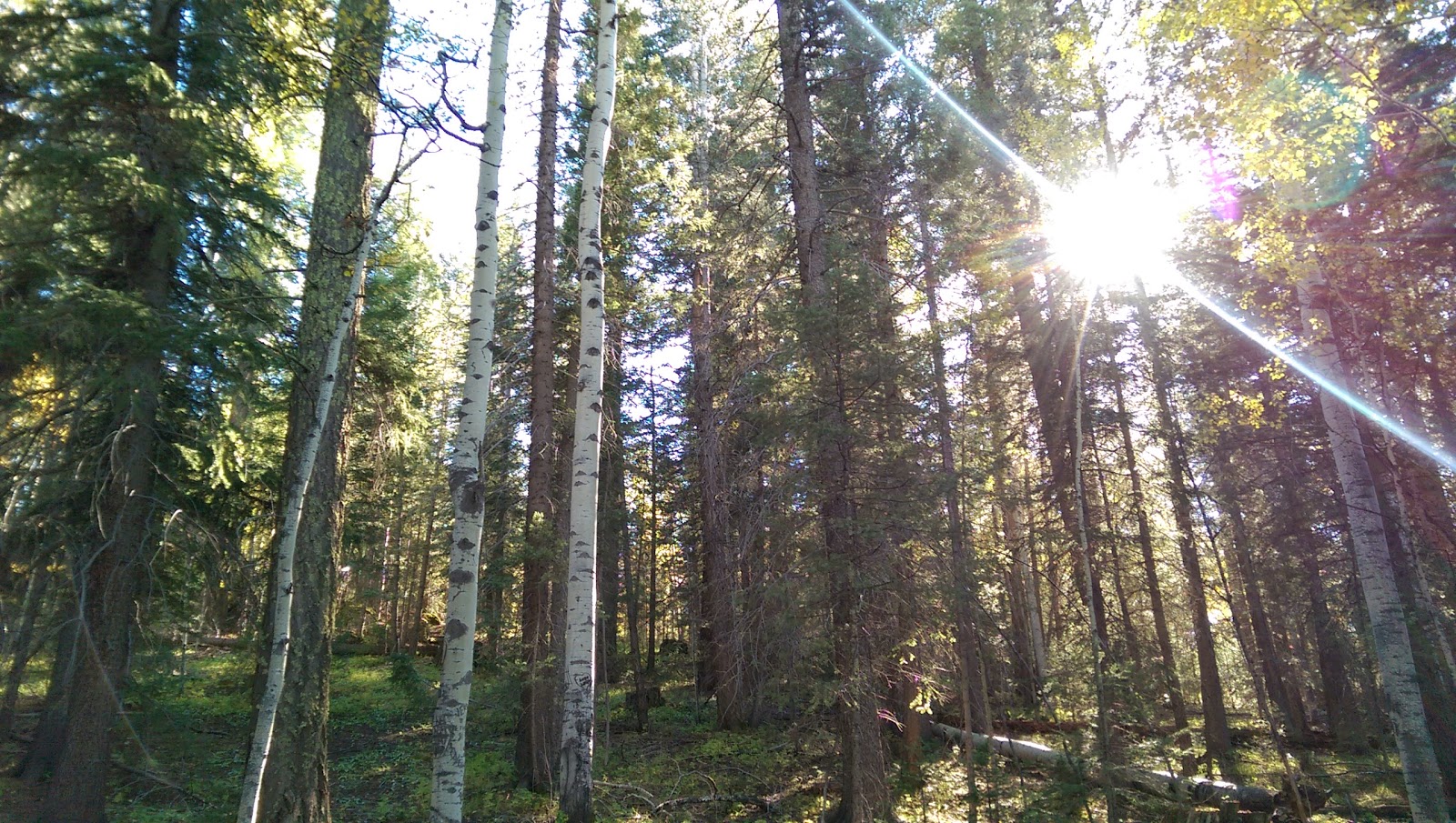 Hon-Dah Casino RV Park