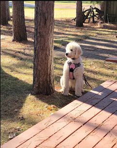 Lake DuBay Shores Campground
