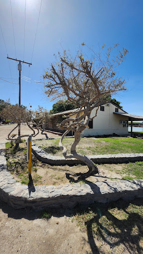 Wiest Lake County Park