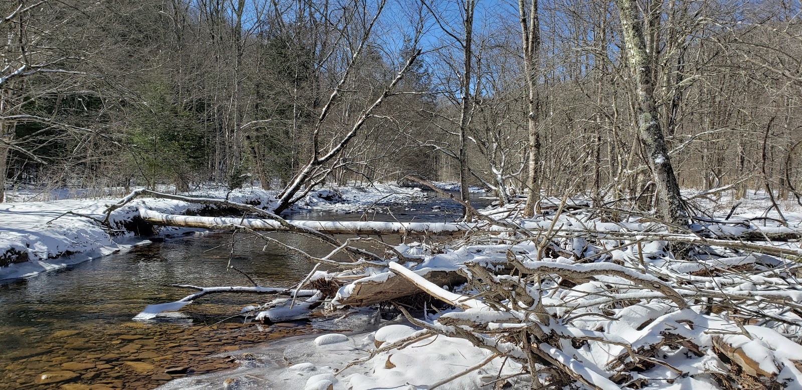 Day Run NF Campground